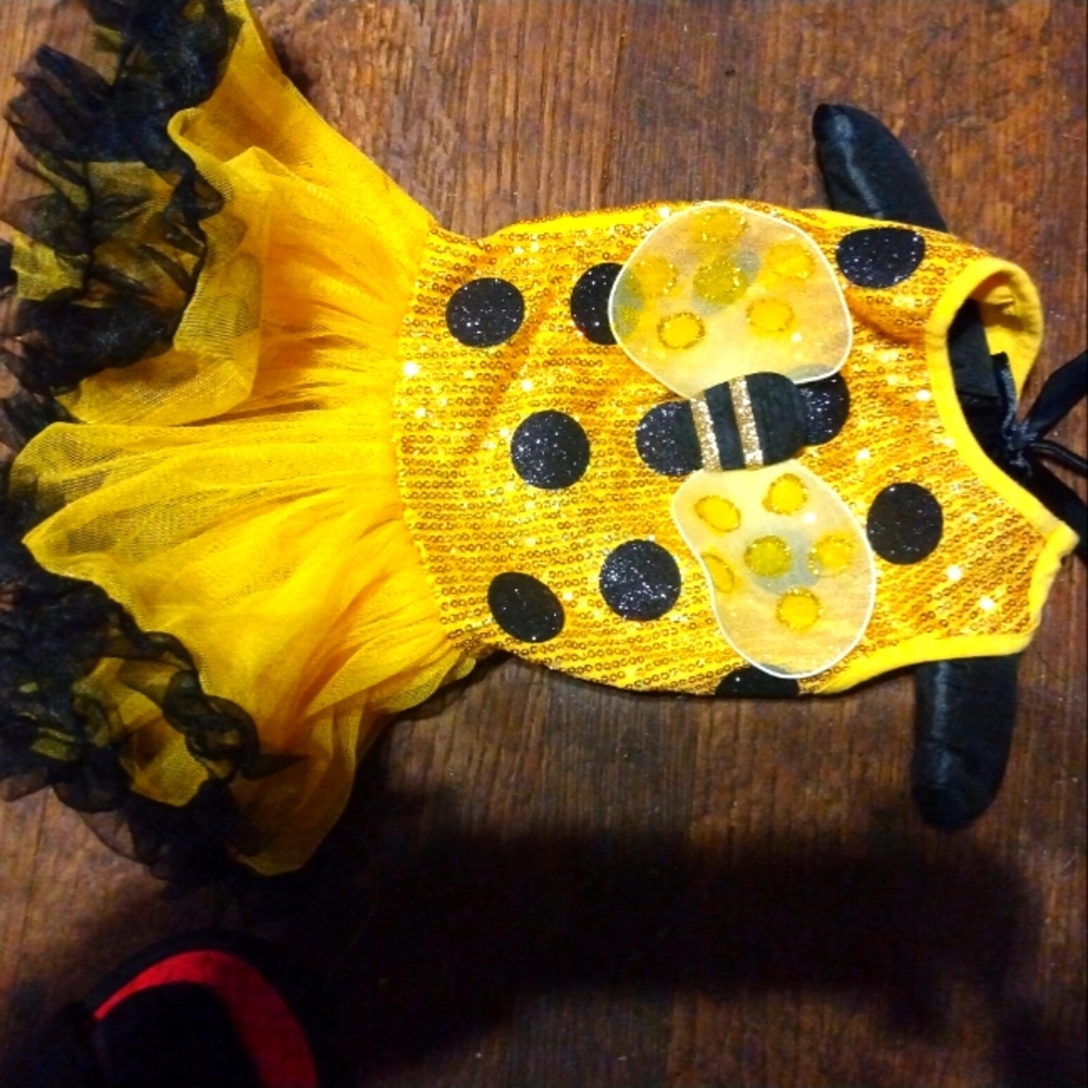 Bee dog costume